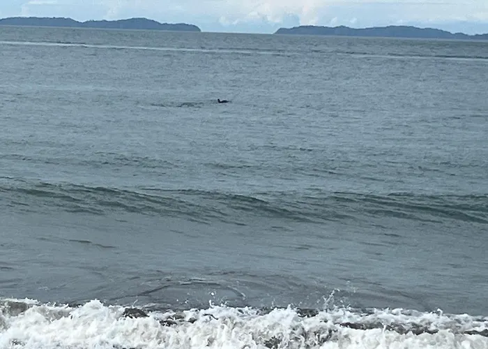 Frente Al Mar